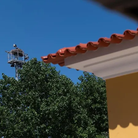 Konukevi Quinta Salinas - Puro Prazer Aveiro