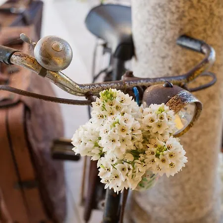 Quinta Salinas - Puro Prazer 4* 아베이루