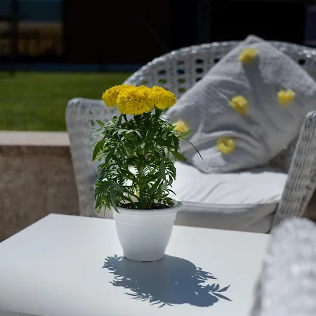 Quinta Salinas - Puro Prazer Guest house Aveiro
