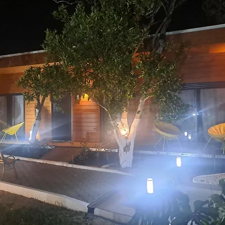 Quinta Salinas - Puro Prazer *