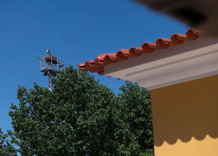 Guest house Quinta Salinas - Puro Prazer Aveiro