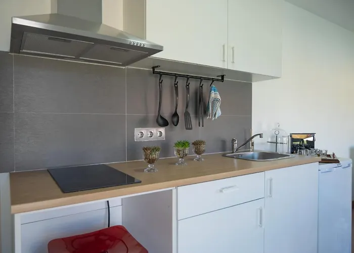 Quinta Salinas - Puro Prazer アヴェイロ