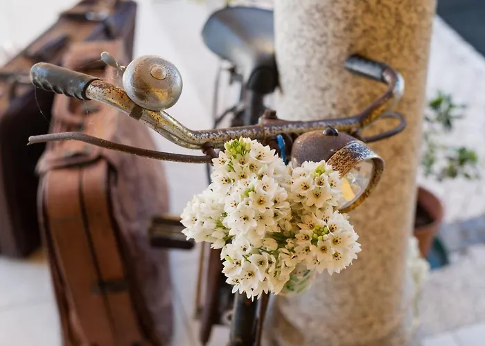 Quinta Salinas - Puro Prazer 4* Aveiro