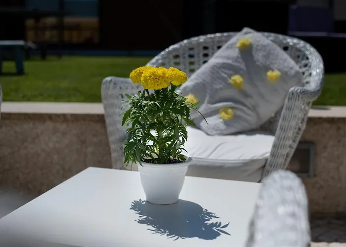 Quinta Salinas - Puro Prazer Guest house Aveiro