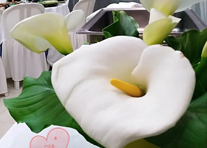 Guest house Quinta Salinas - Puro Prazer 4*