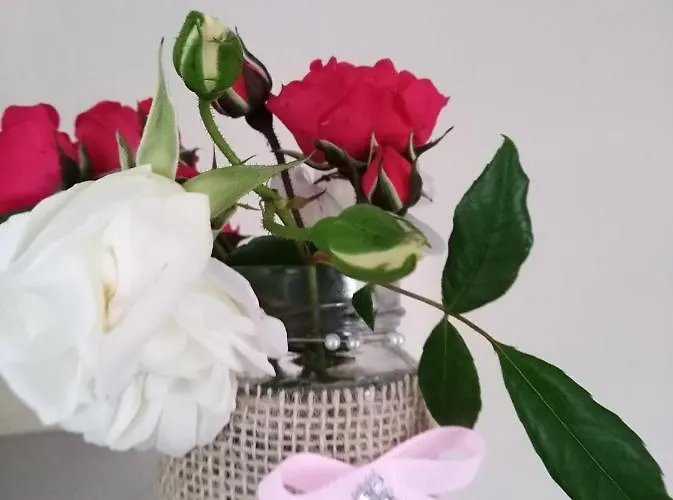 Quinta Salinas - Puro Prazer Guest house Aveiro